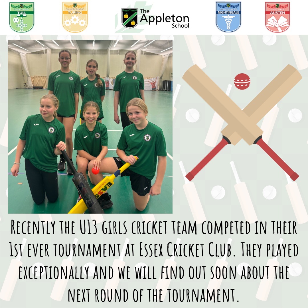Cricket_Success